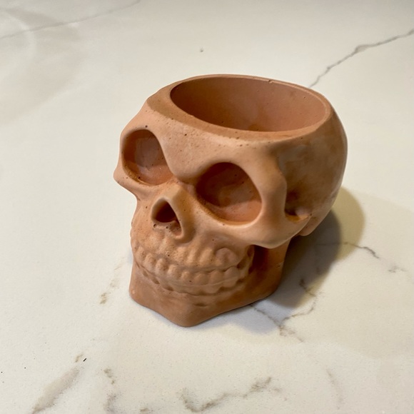 Skull Planter/Organizer - Picture 6 of 7